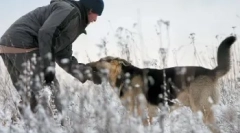 Kaj storiti, če je pes agresiven?